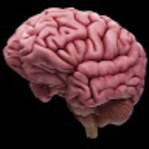 Meet your Posher, Bouseinthehouse